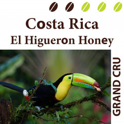 Costa Rica El Higueron Honey