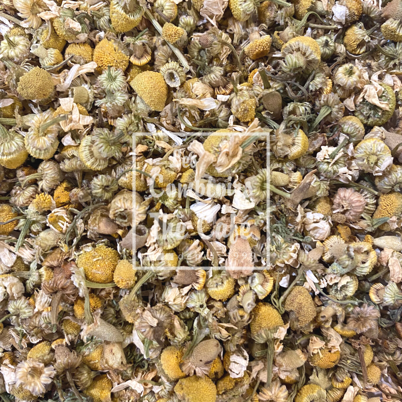 Infusion fleurs camomille