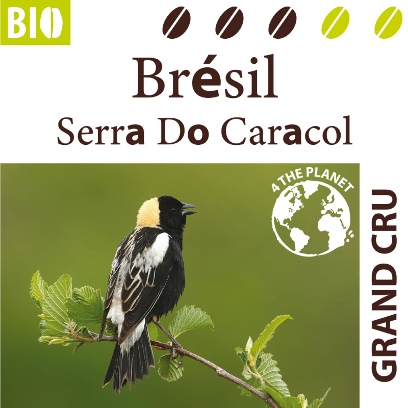 Brésil Serra Do Caracol Bob-o-Link BIO