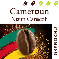 Cameroun Noun Caracoli