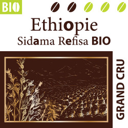 ✨Ethiopie Sidama Refisa BIO