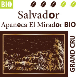 ✨Salvador Apaneca El Mirador BIO