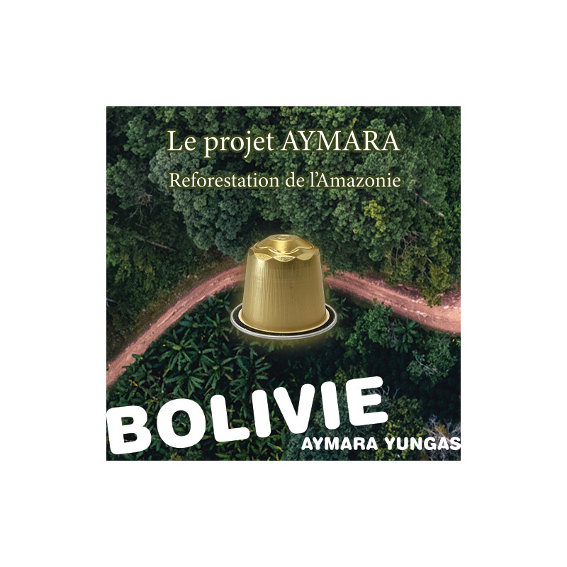 🌍 Capsules Bolivie Aymara Yungas BIO