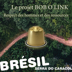 🌍 Capsules Brésil Serra Do...