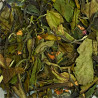 FRUITS DU VERGER