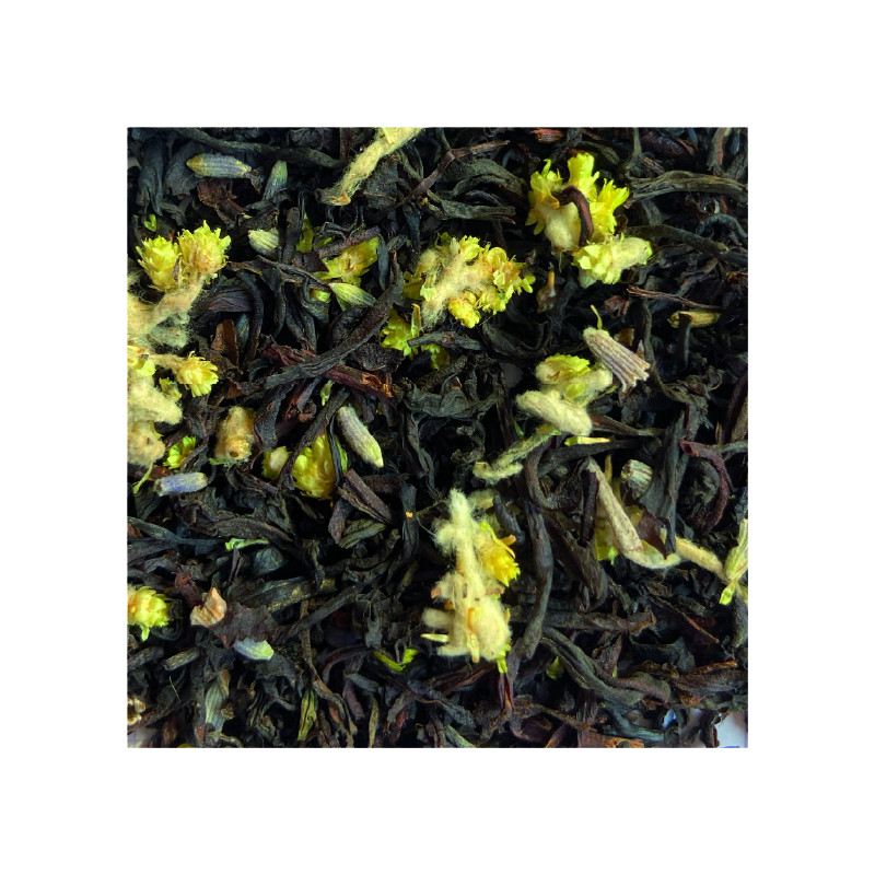 CITRON LAVANDE