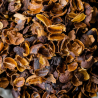 Infusion Cascara
