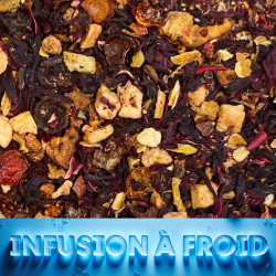 INFUSION FRAISE KIWI