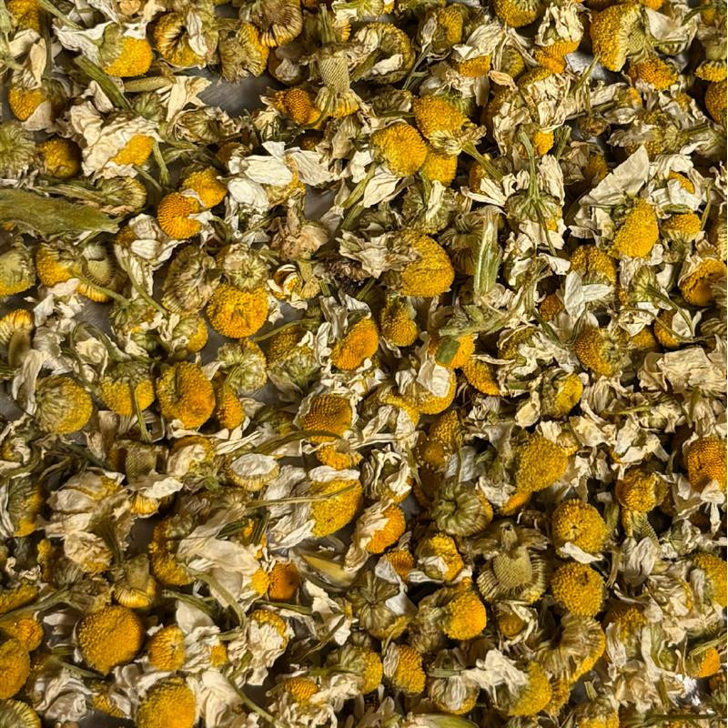 FLEURS DE CAMOMILLE