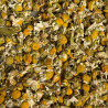 FLEURS DE CAMOMILLE