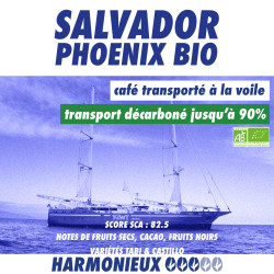 Salvador Phoenix BIO équitable