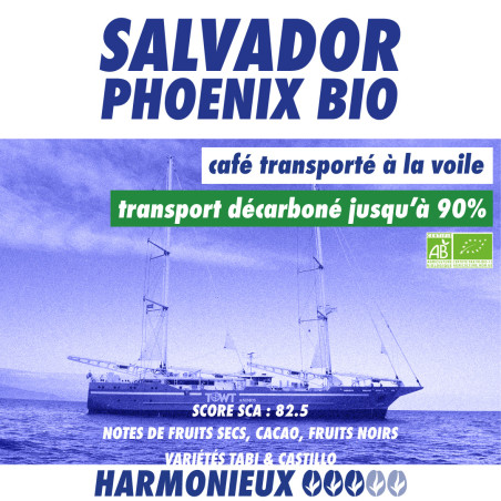 Salvador Phoenix BIO équitable