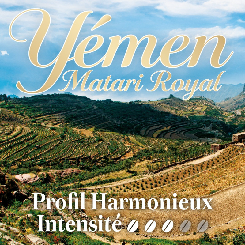 YEMEN MATARI ROYAL