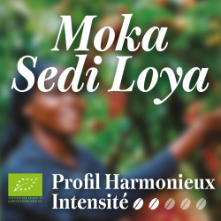 MOKA SEDI LOYA BIO
