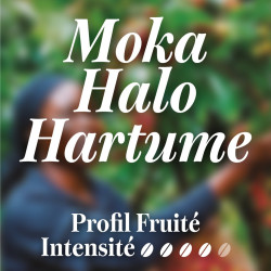 MOKA HALO HARTUME