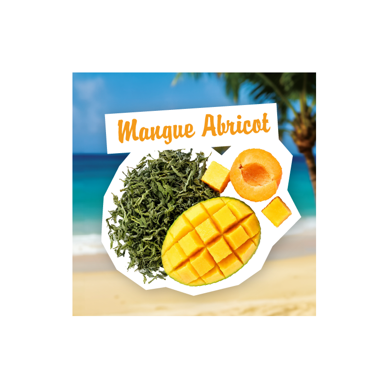 Infusion Mangue Abricot