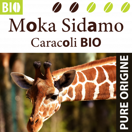 Moka Sidamo Caracoli BIO