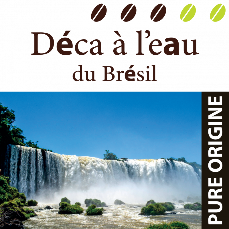 Décaféiné à l'eau (Origine Brésil)