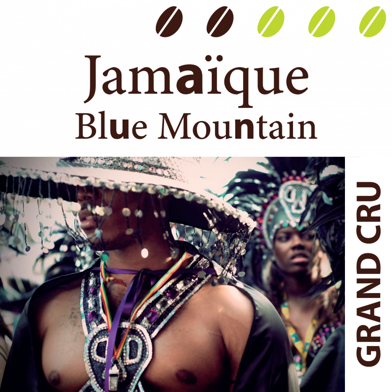 Jamaïque Blue Mountain