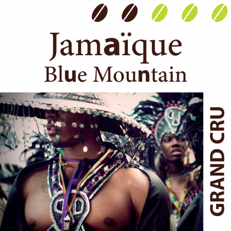 Jamaïque Blue Mountain