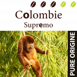 Colombie Supremo