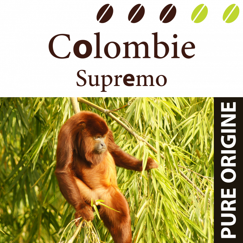 Colombie Supremo