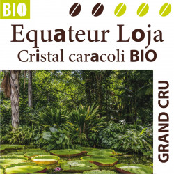 Equateur Cristal caracoli BIO