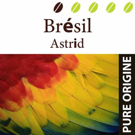 Brésil Astrid