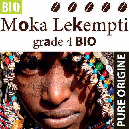 Moka Lekempti Grade 4 BIO