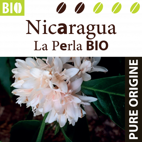 Nicaragua SHG La Perla BIO