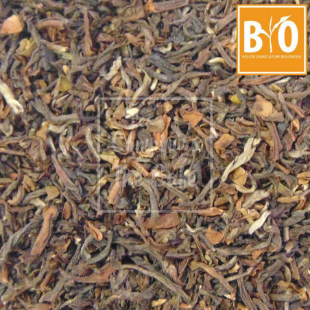 Darjeeling FOP Selim Hill BIO