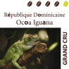 République Dominicaine Ocoa Iguana