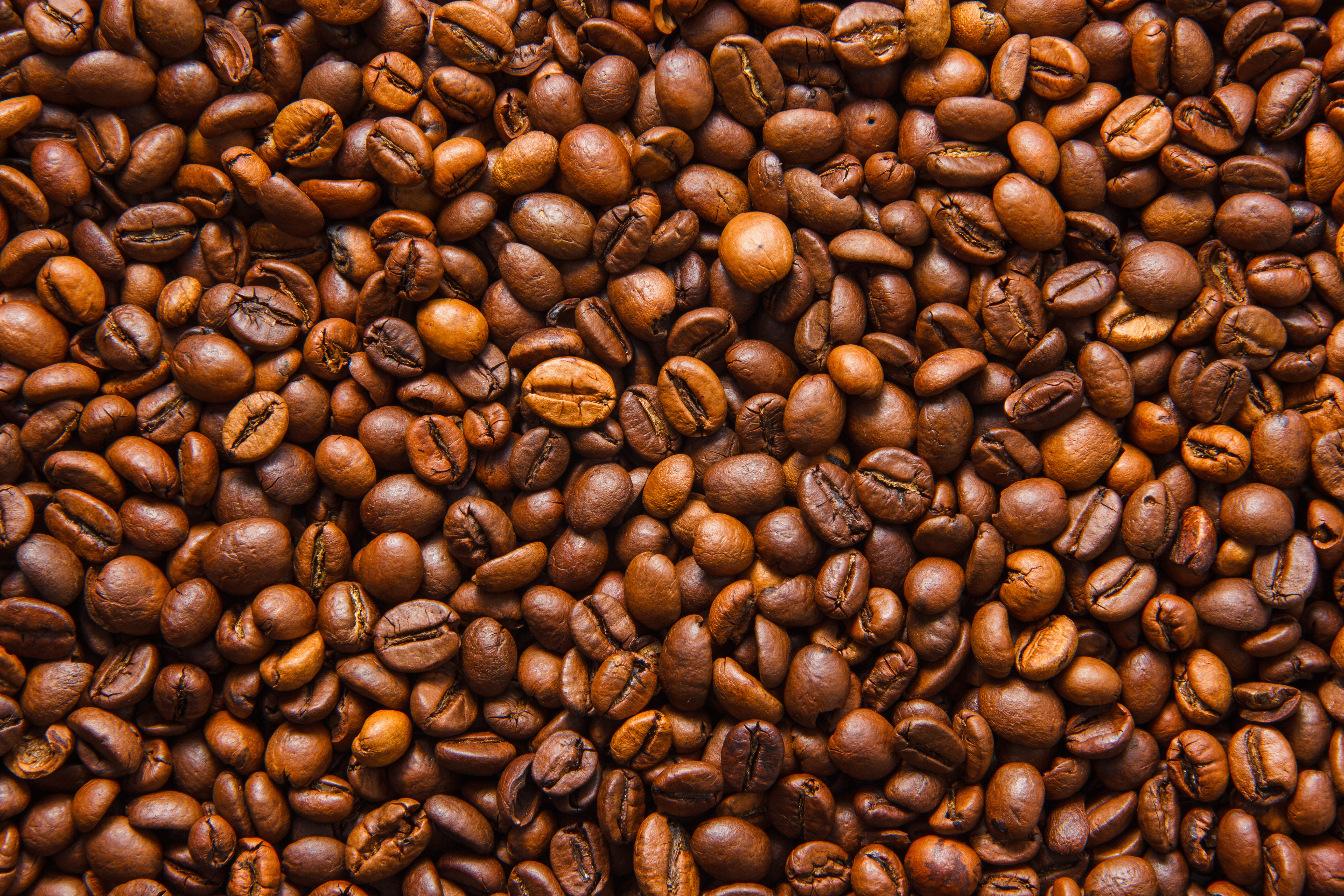 Nos cafés en grains ou moulu