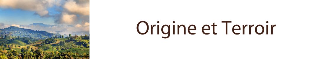 Origine et Terroir