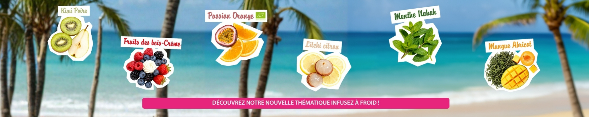https://www.comptoirs-the-cafe.com/thematique/infusion-a-froid/